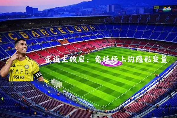 东道主效应:竞技场上的隐形变量